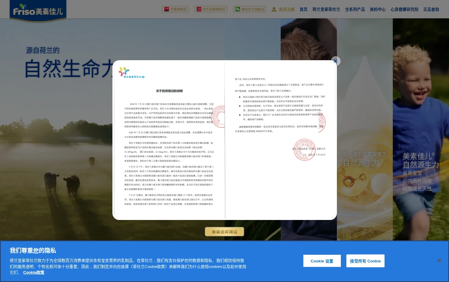 Friso美素佳儿 页面快照
